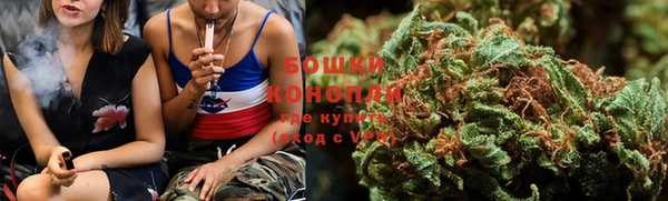 ешки Аркадак