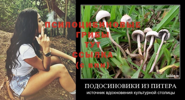 героин Алексин