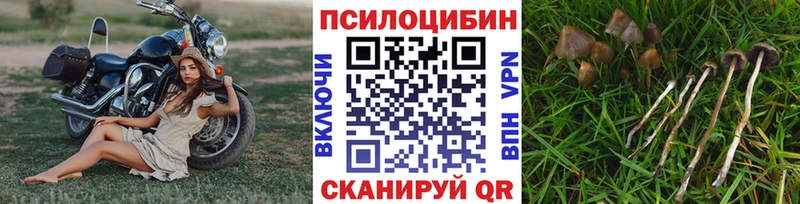 Галлюциногенные грибы Cubensis  Купить закладки  Орёл 